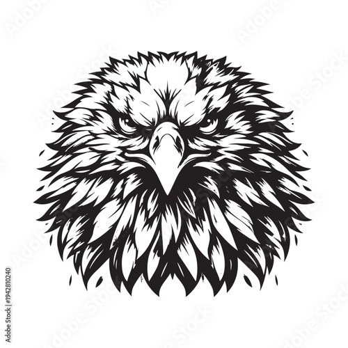 A detailed black and white illustration of an eagle's head with sharp feathers and a piercing gaze.