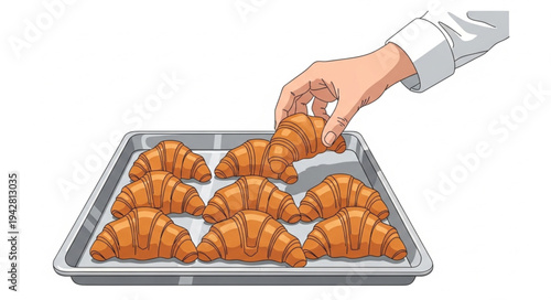 Hand placing croissants on baking tray.