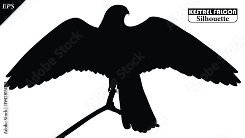 Black silhouette of Kestrel Falcon isolated on white background, Beautiful Kestrel Falcon vector design, Falcon, falcons silhouette vector illustration, vector bird Silhouette icon vector illustration