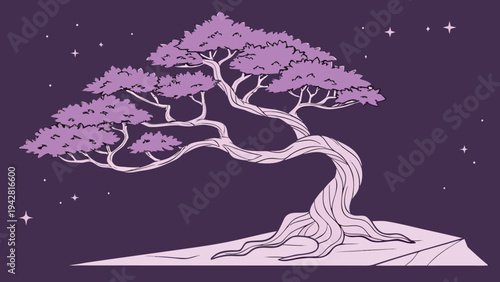 Minimalist bonsai tree vector illustration growing on a rocky mountain ledge under a starry purple night sky for peaceful zen meditation background designs.