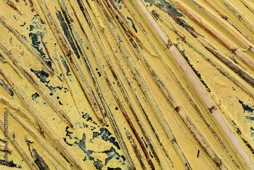 Abstracción de cañas sobre agua