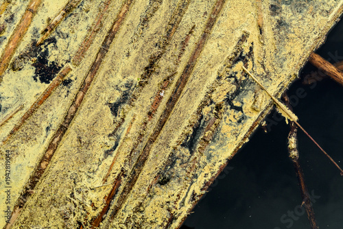 Abstracción de cañas sobre agua