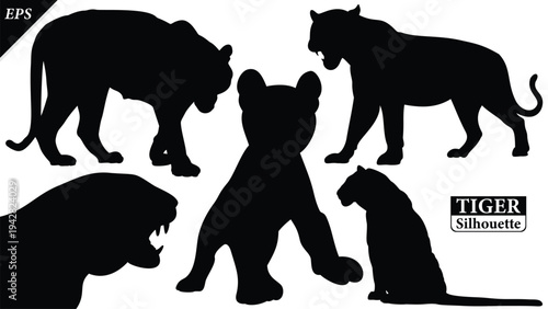 Black silhouette of tiger isolated on white background, Beautiful tiger vector design, standing tigers, tigers silhouette vector illustration, vector. Black Camel Silhouette vector illustration
