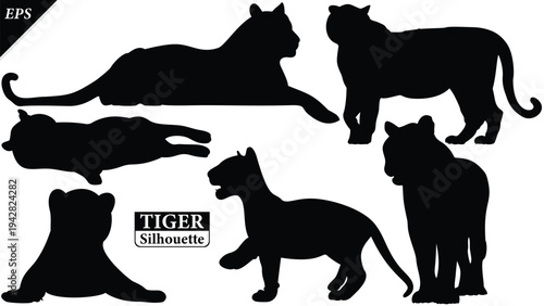 Black silhouette of tiger isolated on white background, Beautiful tiger vector design, standing tigers, tigers silhouette vector illustration, vector. Black Camel Silhouette vector illustration