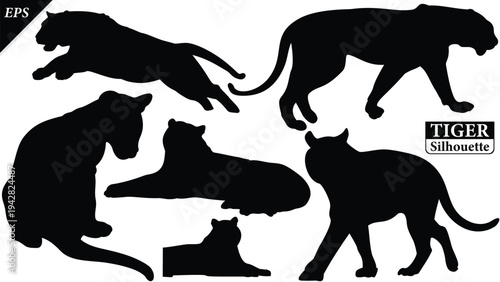 Black silhouette of tiger isolated on white background, Beautiful tiger vector design, standing tigers, tigers silhouette vector illustration, vector. Black Camel Silhouette vector illustration