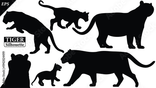 Black silhouette of tiger isolated on white background, Beautiful tiger vector design, standing tigers, tigers silhouette vector illustration, vector. Black Camel Silhouette vector illustration