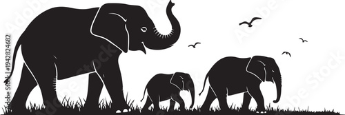 white background elephant family black silhouette vector