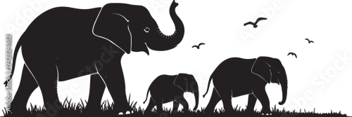 Fototapeta white background elephant family black silhouette vector