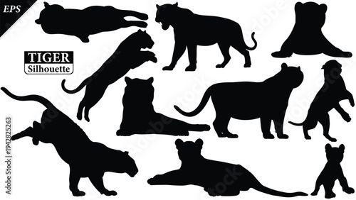 Black silhouette of tiger isolated on white background, Beautiful tiger vector design, standing tigers, tigers silhouette vector illustration, vector. Black Camel Silhouette vector illustration