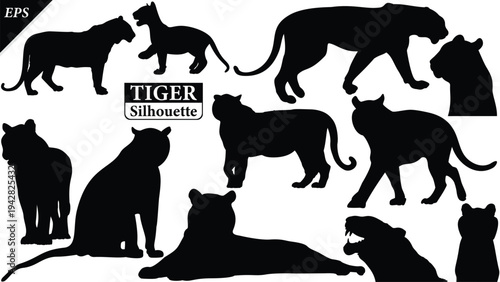 Black silhouette of tiger isolated on white background, Beautiful tiger vector design, standing tigers, tigers silhouette vector illustration, vector. Black Camel Silhouette vector illustration