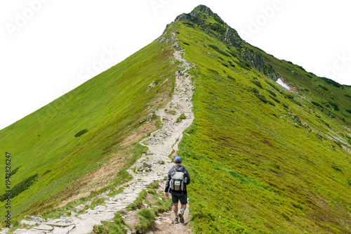 Hiker walking up steep grassy mountain ridge trail cutout. Isolated object