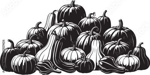 Black and White Illustration of Pumpkins and Squash Vegetables
