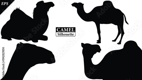 Black silhouette of camel isolated on white background, set of camel vector design, standing camels, camels silhouette vector illustration, camel vector. Black Camel Silhouette vector illustration