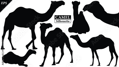 Black silhouette of camel isolated on white background, set of camel vector design, standing camels, camels silhouette vector illustration, camel vector. Black Camel Silhouette vector illustration