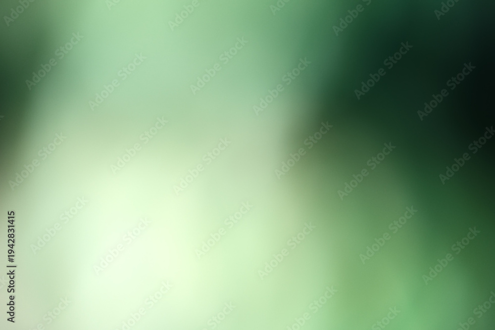 Fototapeta premium Discovering tranquility in a lush green forest pathway