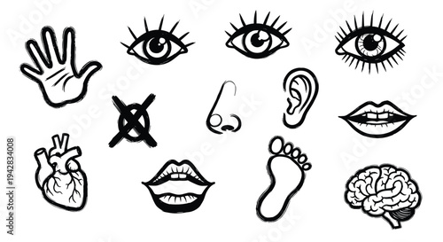 Human body parts and organs icons set simple sketch style