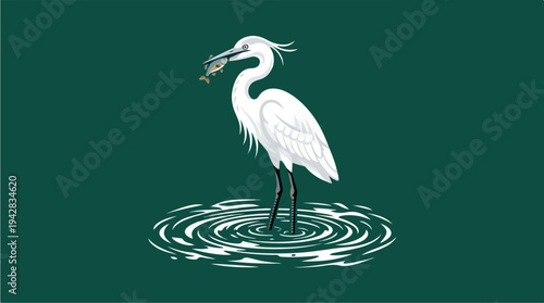 Elegant White Egret Standing in Rippling Water with Fish in Beak.