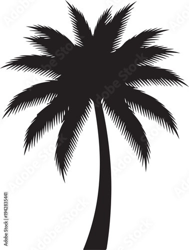 white background palm tree tropical black silhouette vector.