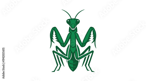 Green Praying Mantis Insect Illustration.