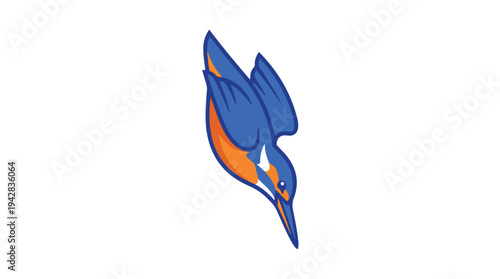 Illustration of a Kingfisher Bird Diving for Prey.