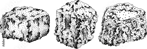Vector engraving illustration of fresh cut sugarcane pieces, juicy sugar cane stalks slices showing fibrous sweet interior, tropical street food snack, natural raw cane sugar, exotic refreshment