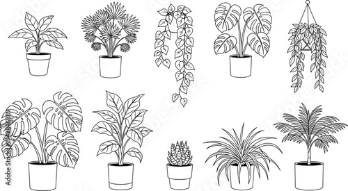 Indoor house plants line art set, potted monstera palm and hanging ivy collection, botanical home garden decor flat vector illustration
