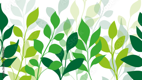 natura, piante, rampicanti, edera, liane, rami,  botanica, vivaio	