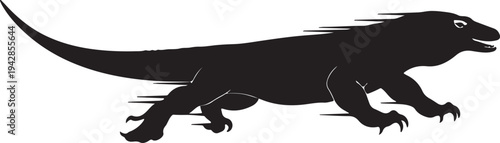 Dragon in silhouette on white background.