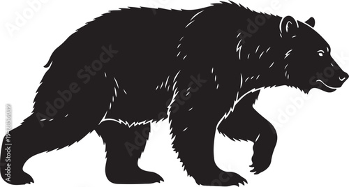 Grizzly Bear in silhouette on white background.