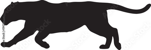 Jaguar in silhouette on white background.