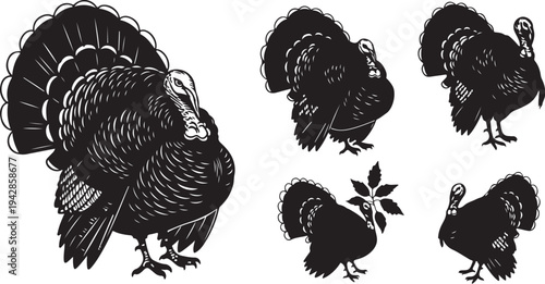 Black and white turkeys in various poses illustration set