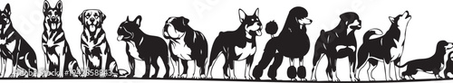 A row of different dog breeds in black silhouette isolated on transparent background, Vector