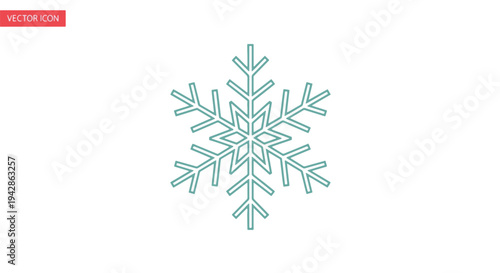 A single turquoise snowflake on white background.