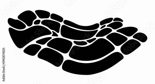 Abstract organic fluid shape with interconnected cells and flowing lines on white background