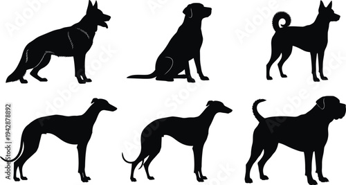 Dog breed silhouette set featuring shepherd labrador greyhound shiba and mastiff isolated on white background domestic canine collection illustration
