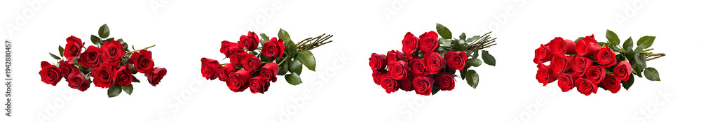 Obraz premium Set of Bouquet of red roses isolated on transparent png background for events and gifts