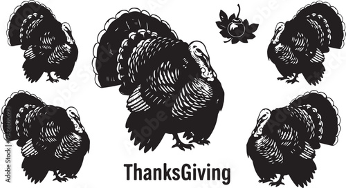 Black and white turkeys for Thanks Giving celebration