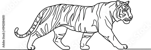 Minimalist continuous line art drawing depicting a majestic tiger in profile slowly walking across a flat surface