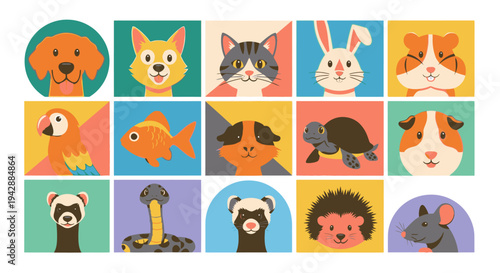 Vibrant illustration of various cute animals in colorful squares on a white background featuring a dog, cat, rabbit, guinea pig, and hedgehog.