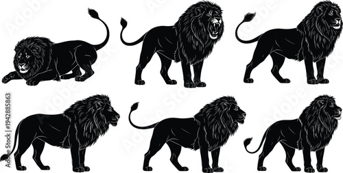 Lion silhouette set showing different standing walking and roaring poses isolated on white background wild animal predator collection vector illustration