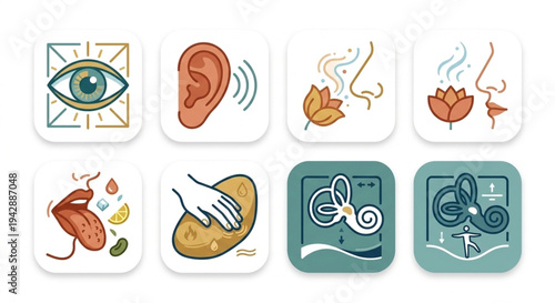 Human sense of taste icons set, tongue anatomy and flavors perception, medical educational vector illustration