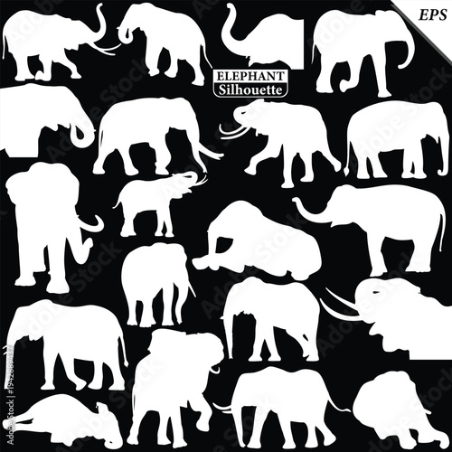 Elephant Silhouette icon. Simple vector illustration, Side view black big asian elephant silhouette vector illustration design on black background, Walking big elephant strong power, sign