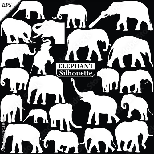 Elephant Silhouette icon. Simple vector illustration, Side view black big asian elephant silhouette vector illustration design on black background, Walking big elephant strong power, sign