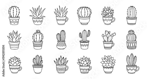 Cute cactus and succulent doodle vector set with potted home plants for coloring book and design