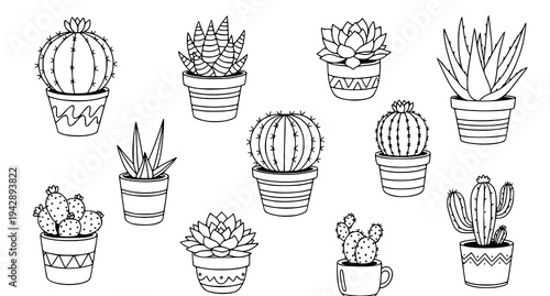 Hand drawn cactus and succulent doodle collection with potted home plants vector illustration