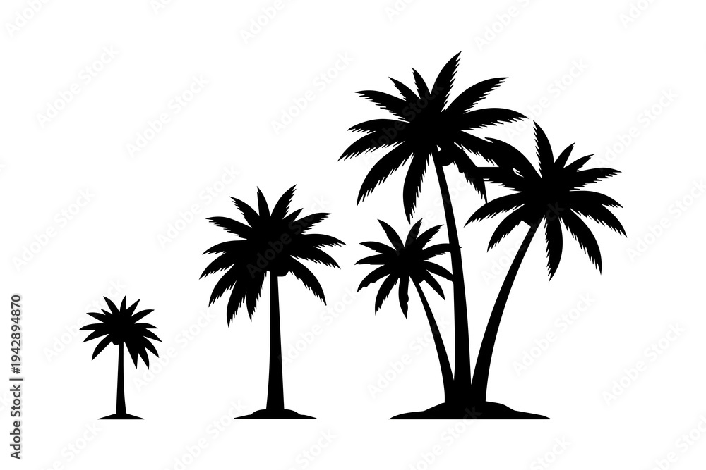 Obraz premium A series of palm trees increasing in size from left to right
