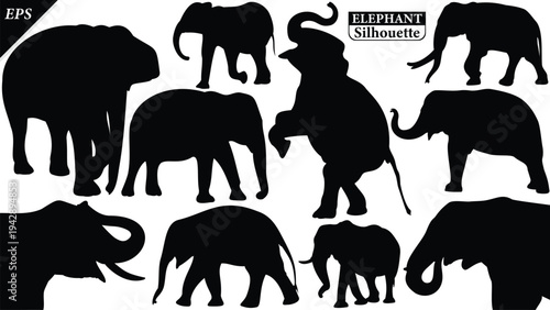 Elephant Silhouette icon. Simple vector illustration, Side view black big asian elephant silhouette vector illustration design on white background, Walking big elephant strong power, sign