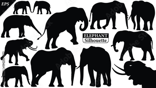 Elephant Silhouette icon. Simple vector illustration, Side view black big asian elephant silhouette vector illustration design on white background, Walking big elephant strong power, sign
