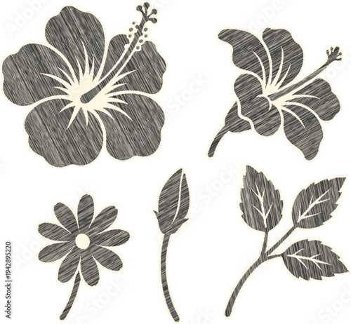 Scribble Floral SVG: Unique Etched Hibiscus Cherry Magnolia Vectors
