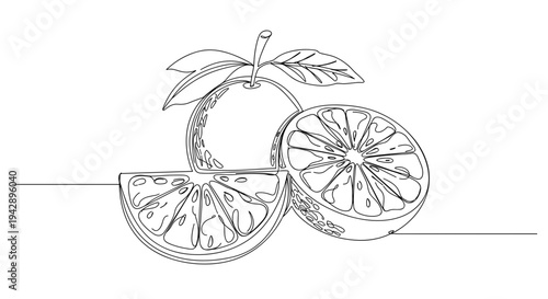 Contour line artwork of sliced lemon and lime fruits with leaves on a transparent background depicting freshness and natural flavors